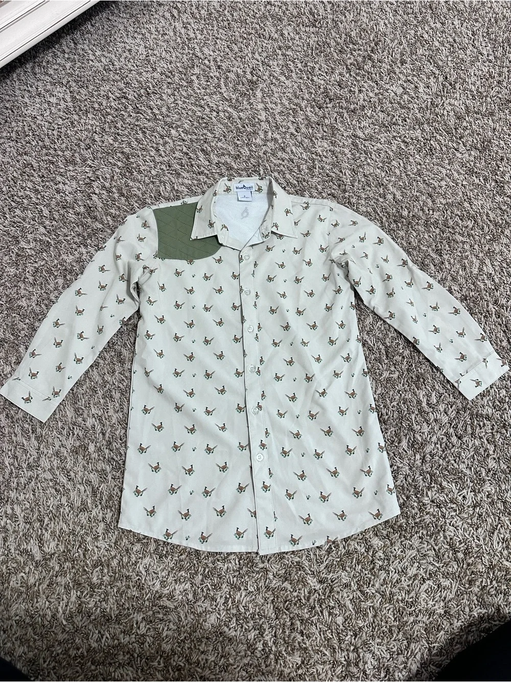 Blue Quail boys shirt size 6 Kids Button-Down Green quail Print